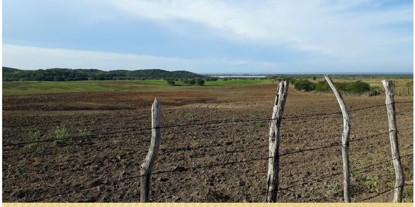 Panorámica del predio