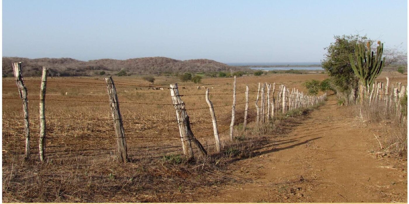 Terreno y montañas